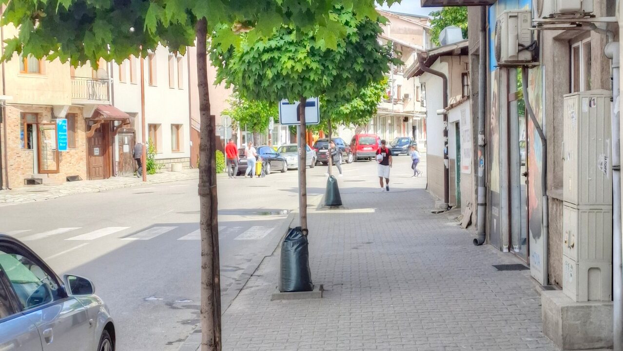 Банско спаси дърветата си с… торби!